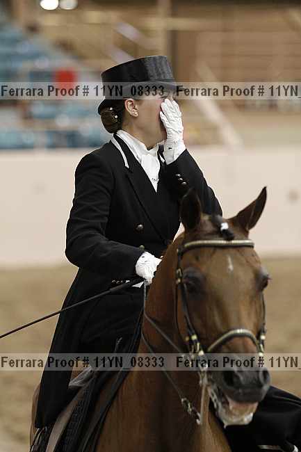 Proof 11yn_08333