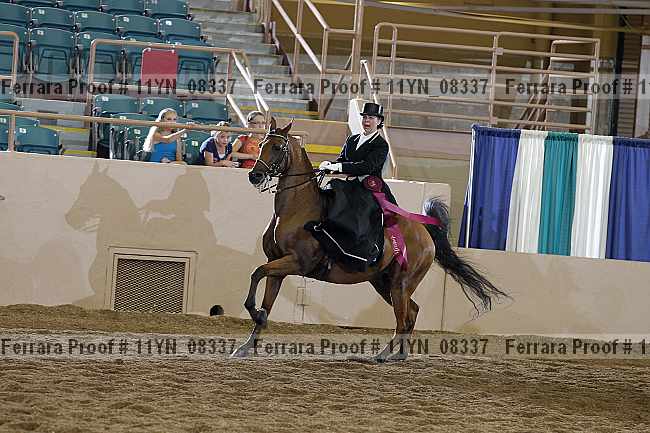 Proof 11yn_08337