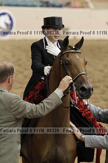 Proof 11yn_08339