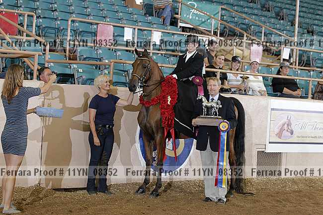 Proof 11yn_08352