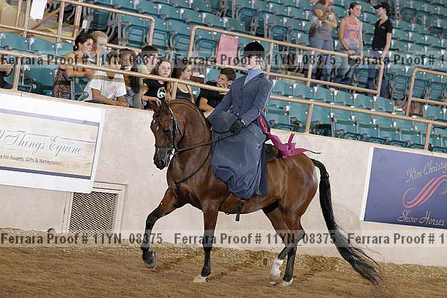 Proof 11yn_08375
