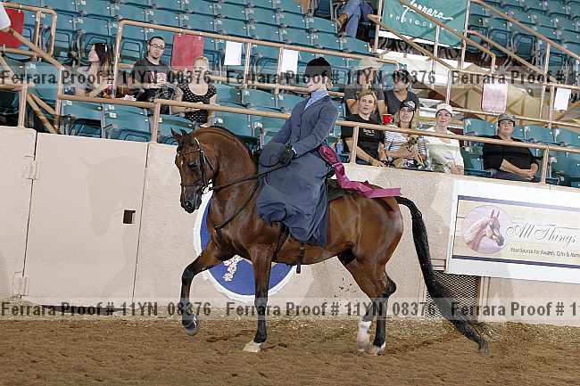 Proof 11yn_08376