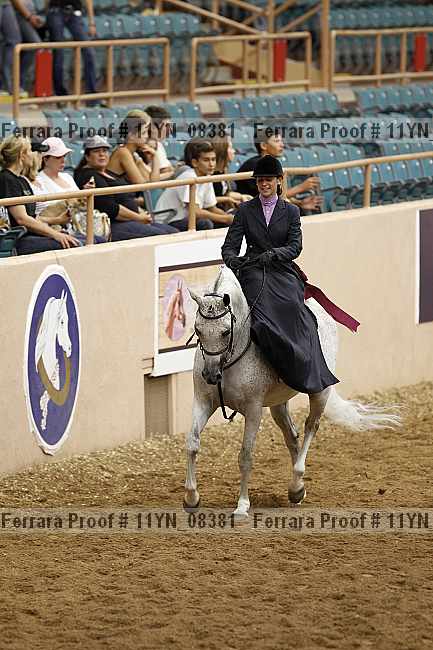 Proof 11yn_08381