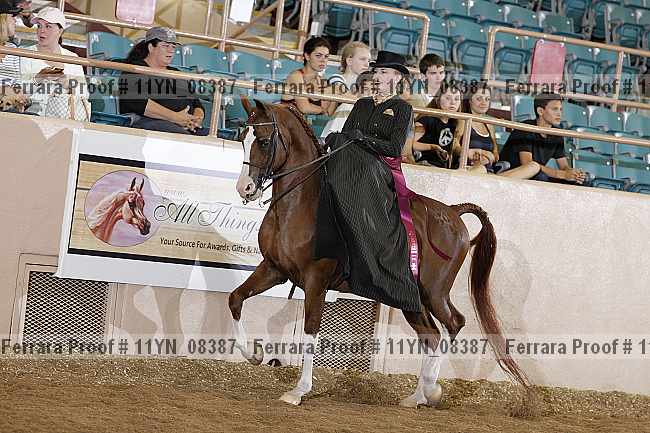 Proof 11yn_08387