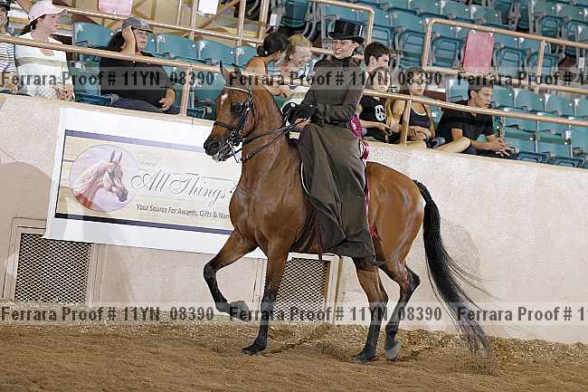 Proof 11yn_08390