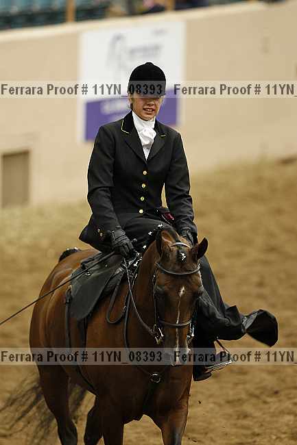 Proof 11yn_08393