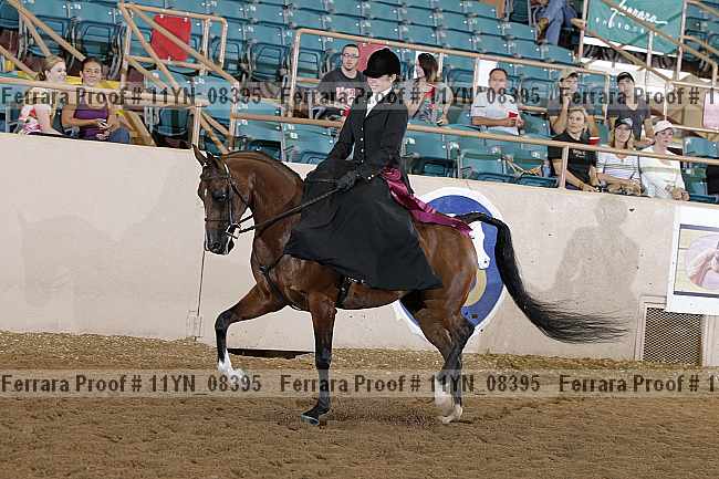 Proof 11yn_08395