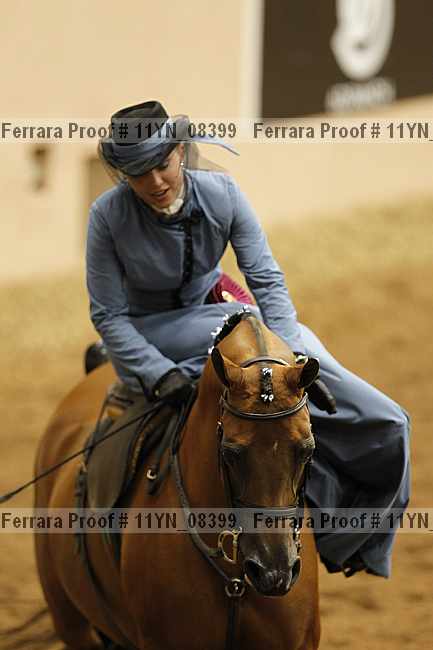 Proof 11yn_08399