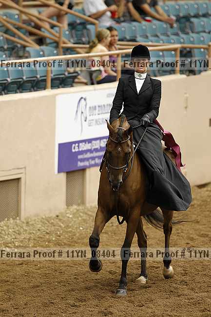 Proof 11yn_08404