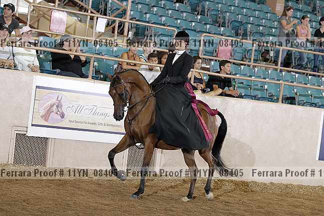 Proof 11yn_08405