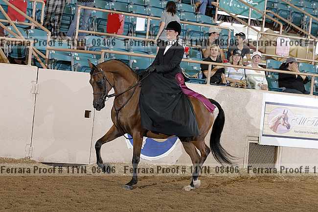 Proof 11yn_08406