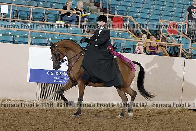 Proof 11yn_08407