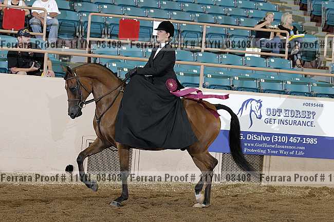 Proof 11yn_08408