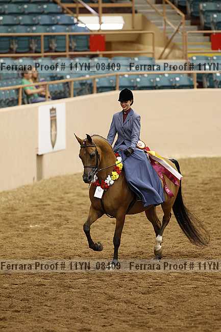 Proof 11yn_08409