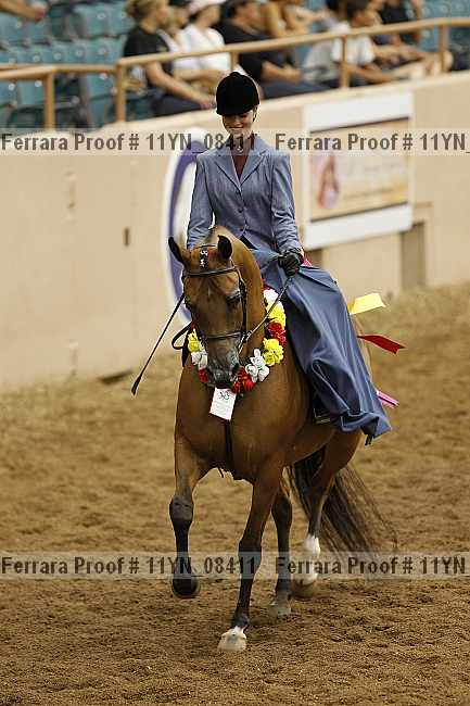 Proof 11yn_08411