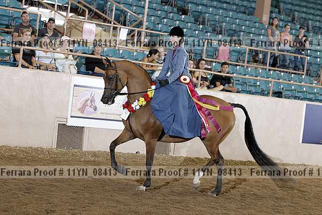 Proof 11yn_08413