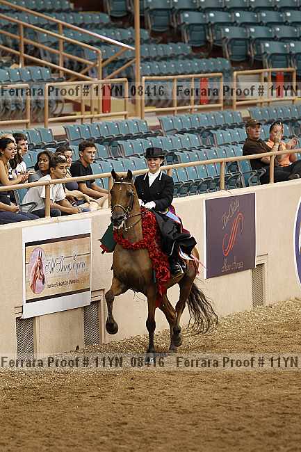 Proof 11yn_08416