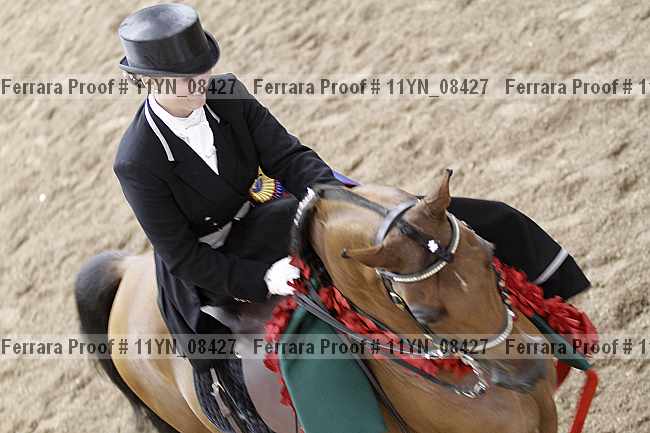 Proof 11yn_08427