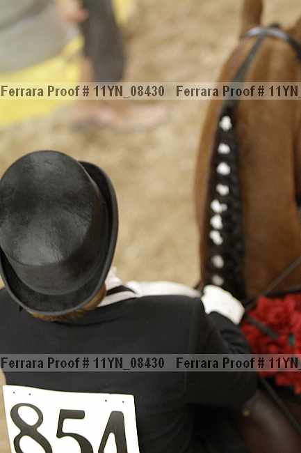 Proof 11yn_08430