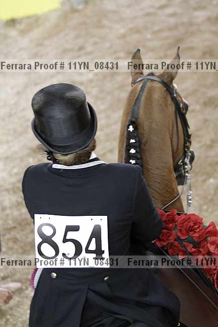 Proof 11yn_08431