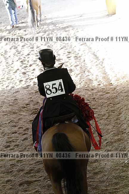 Proof 11yn_08436
