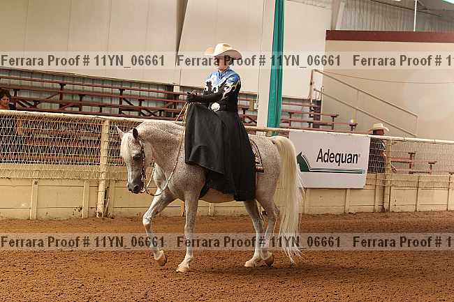 Proof 11yn_06661
