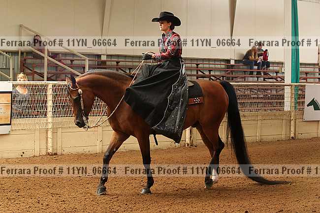 Proof 11yn_06664