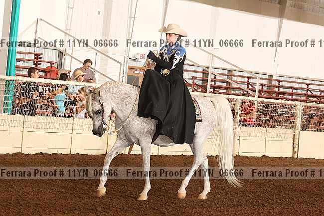 Proof 11yn_06666