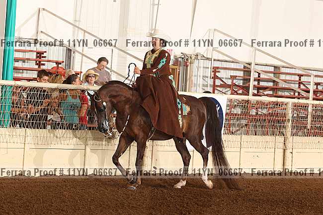 Proof 11yn_06667