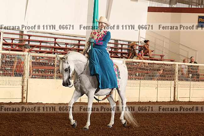 Proof 11yn_06671