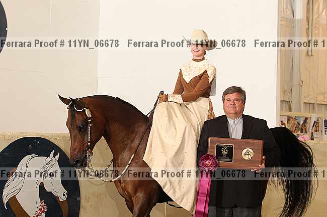 Proof 11yn_06678
