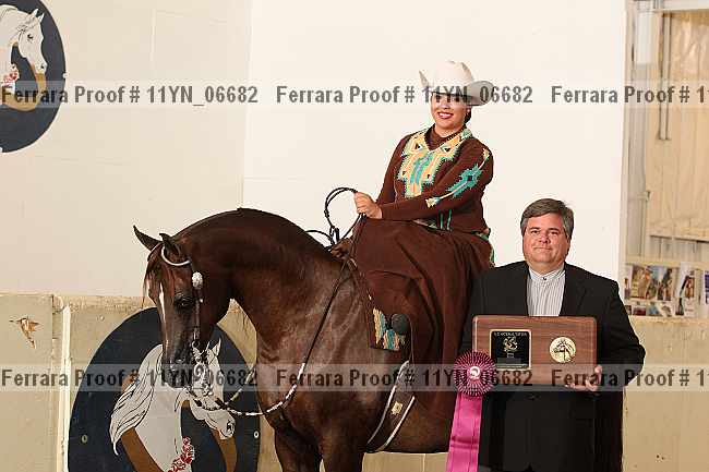 Proof 11yn_06682