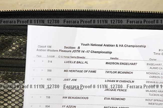 Proof 11yn_12780