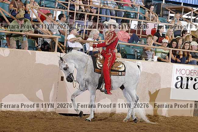 Proof 11yn_20276