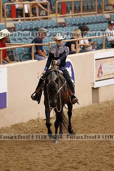 Proof 11yn_20278