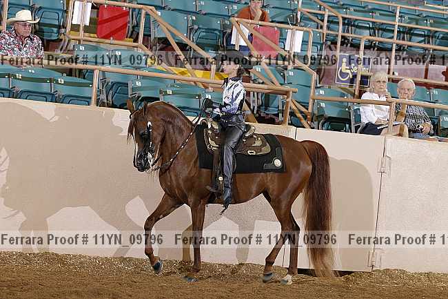 Proof 11yn_09796