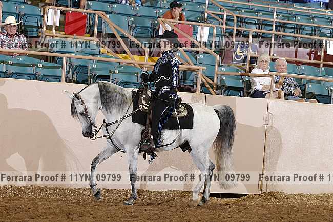 Proof 11yn_09799