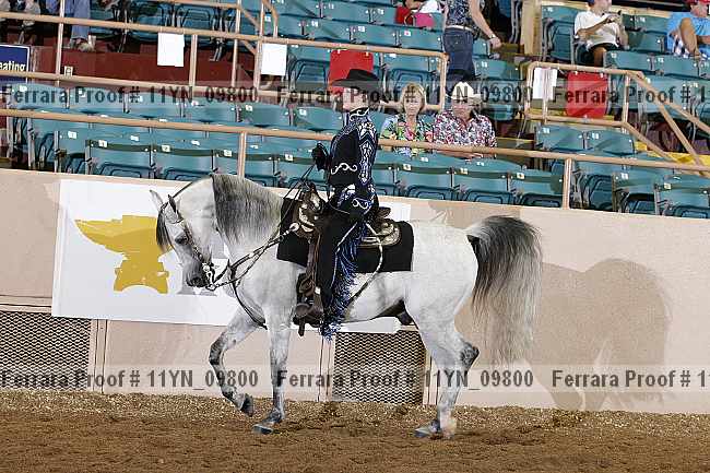 Proof 11yn_09800