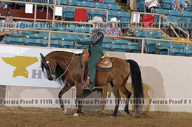Proof 11yn_09804