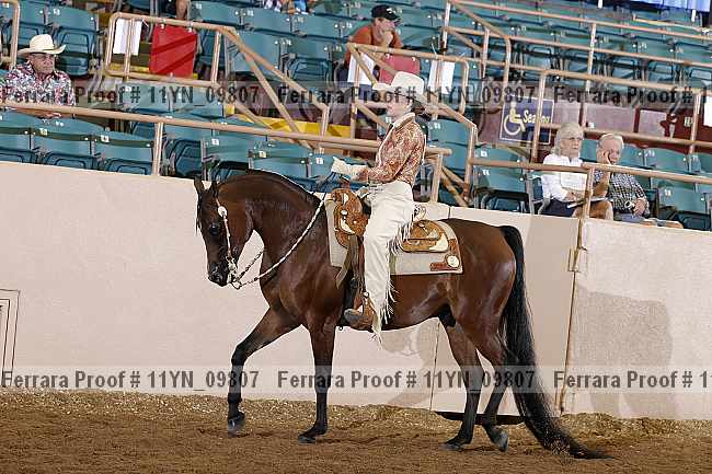 Proof 11yn_09807