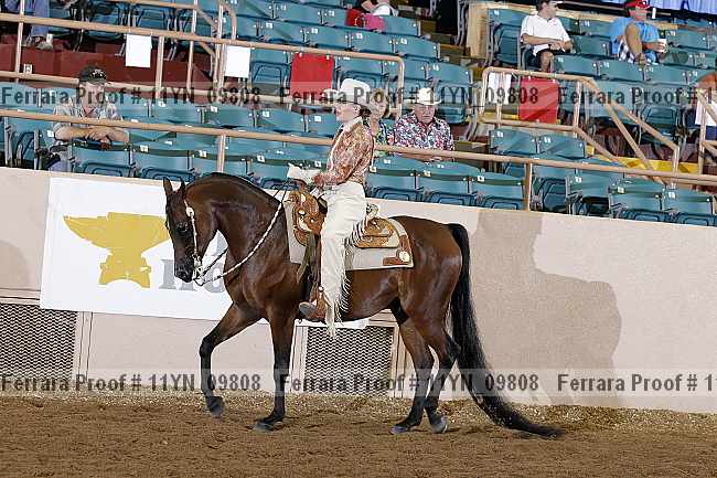 Proof 11yn_09808