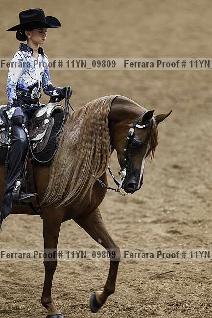 Proof 11yn_09809