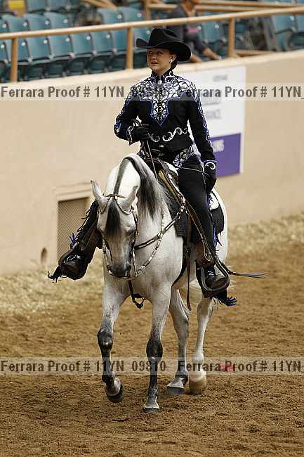 Proof 11yn_09810