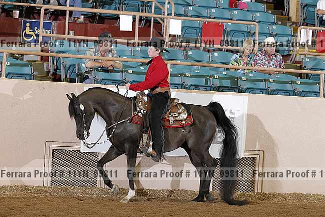 Proof 11yn_09811