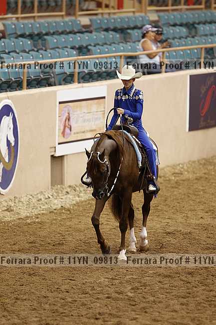 Proof 11yn_09813