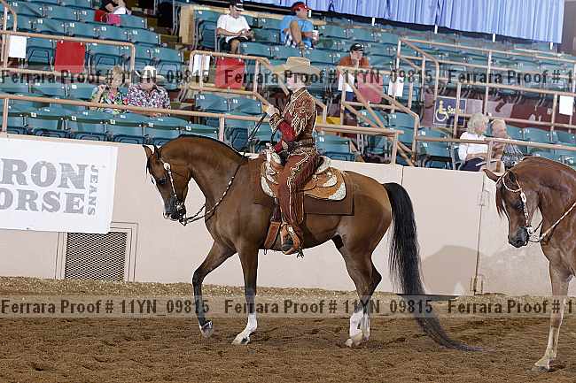 Proof 11yn_09815