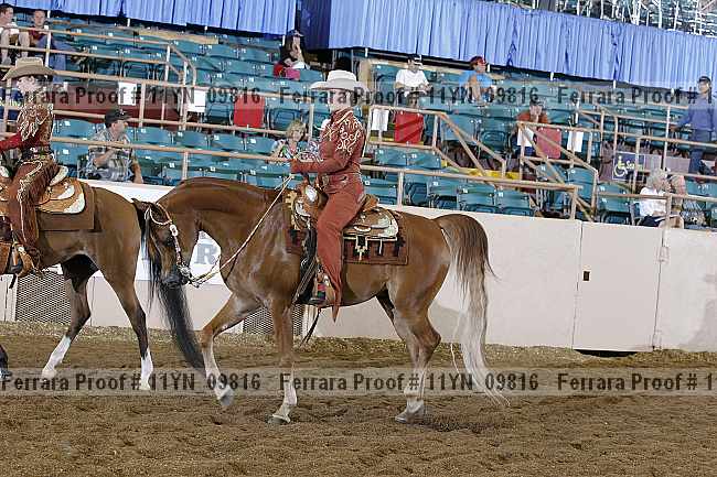 Proof 11yn_09816