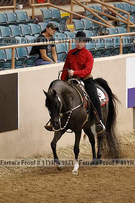 Proof 11yn_09821