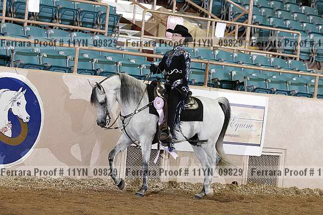 Proof 11yn_09829