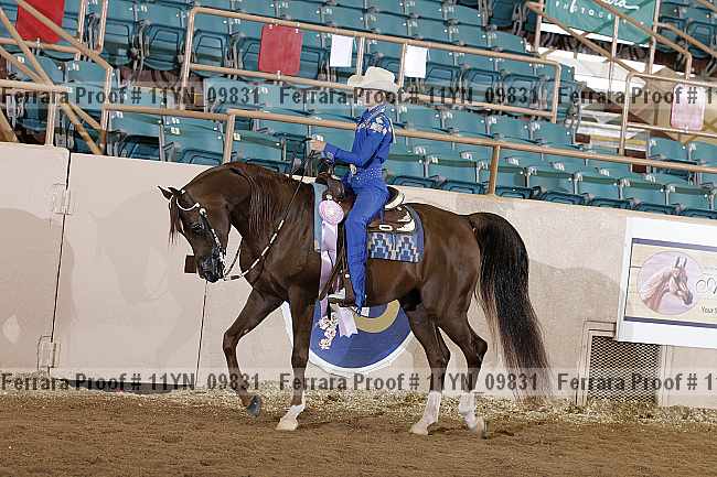 Proof 11yn_09831